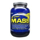 UP YOUR MASS 2LBS FUDGE BROWNIE