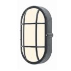 Lámpara Ovalada de Pared 9" Exterior