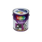 PINTURA ACRILICA PLUS TROPICAL ICE CREM 65 GL